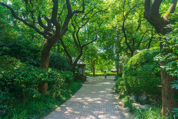 上海靜安公園20180729