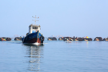 海帶養(yǎng)殖