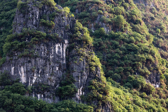 廣西鐘山十里畫廊