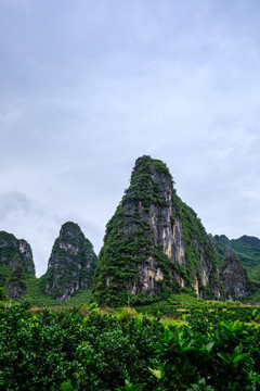 廣西鐘山十里畫廊