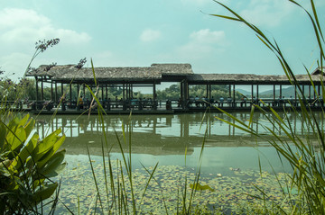 無(wú)錫勃公島濕地公園景觀