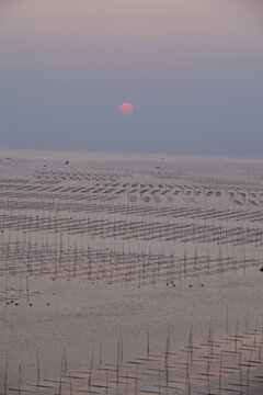 大海日出