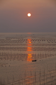 大海日出
