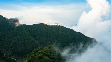 板山云霧