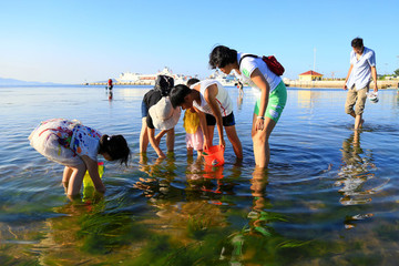 趕海
