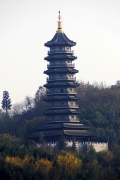 中國國際園林博覽會