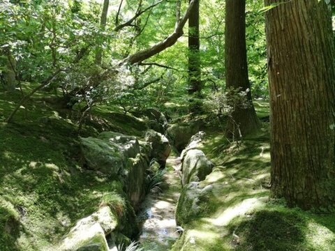 銀閣寺內(nèi)景