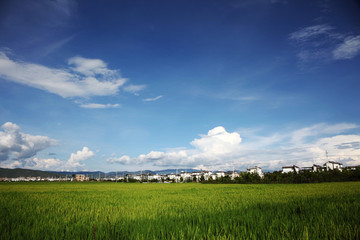 大理風(fēng)光