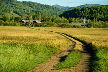 田園小路