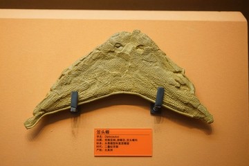 二疊紀(jì)早期笠頭螈頭骨化石