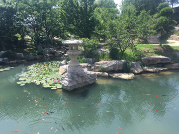 襄陽唐城