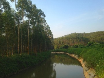 山間河流