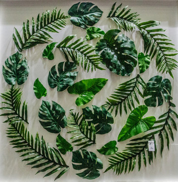綠植墻抽象圖案