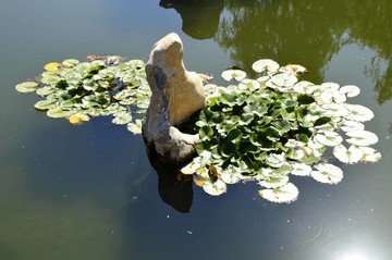 園林景觀