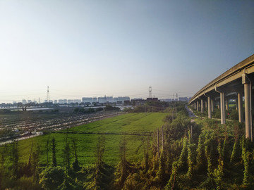 田園高架橋