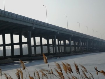 攝影植物建筑
