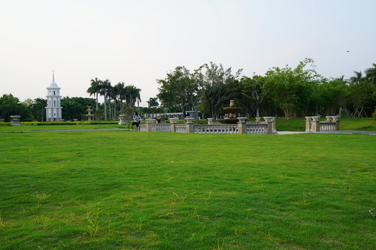綠草地