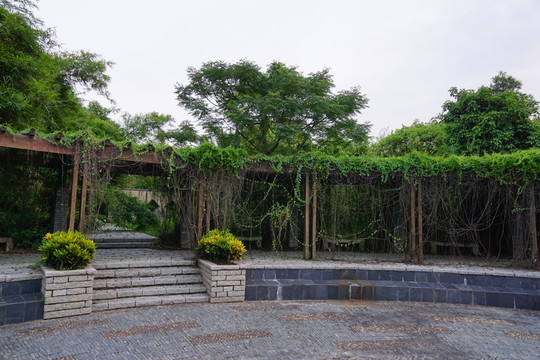 花架