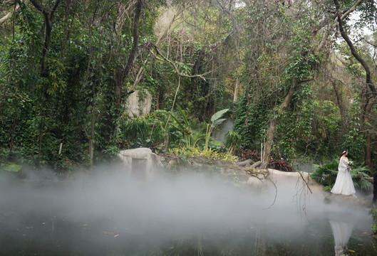 熱帶雨林