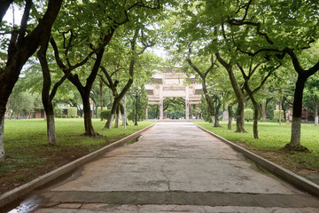 綠樹成蔭