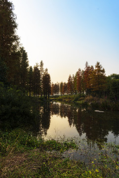小溪晚霞