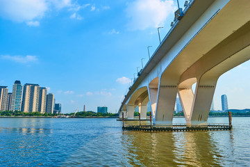 琶洲大橋