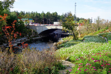 公園花海和橋梁