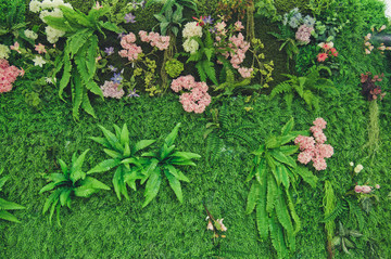 植物墻