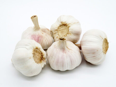 大蒜