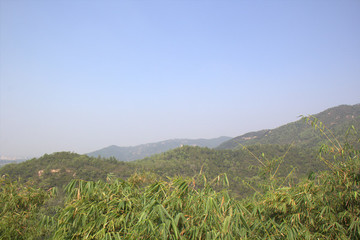 山