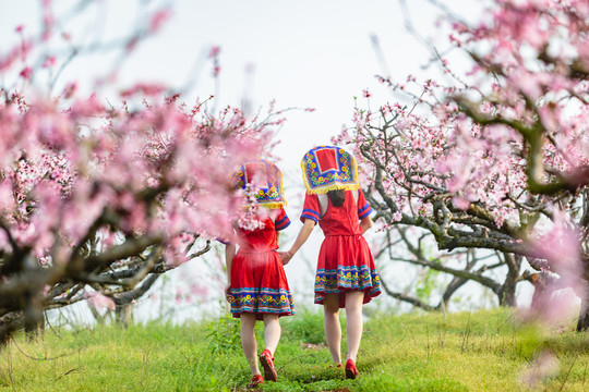 中國連州瑤族少女與桃花