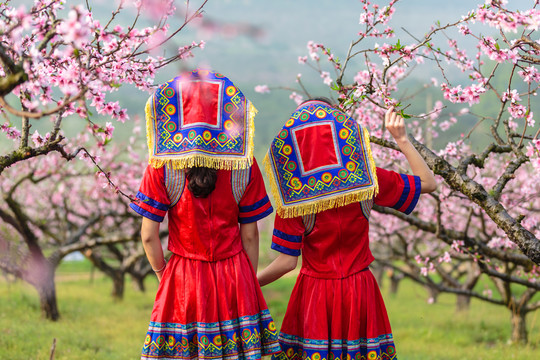中國連州瑤族少女與桃花