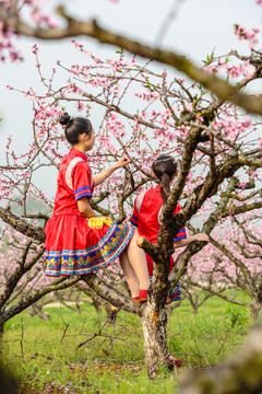 中國連州瑤族少女與桃花
