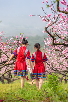 中國連州瑤族少女與桃花