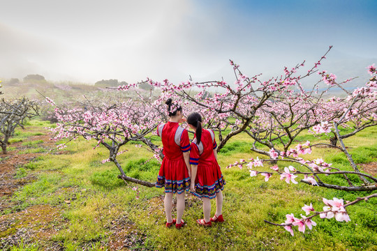 中國連州瑤族少女與桃花