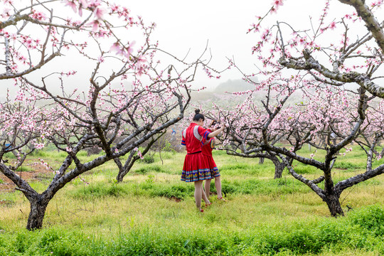 中國連州瑤族少女與桃花