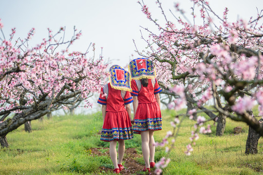 中國連州瑤族少女與桃花