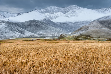 青海雪山風(fēng)光