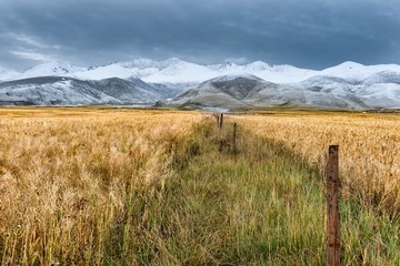 青海雪山風(fēng)光