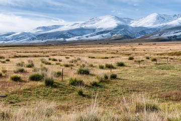 青海湖雪山風(fēng)光