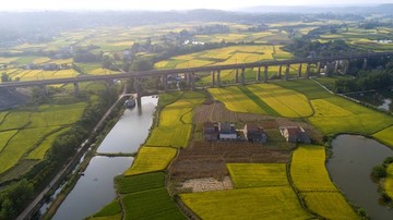 田園風(fēng)光