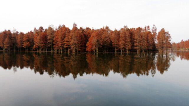 尚湖濕地公園