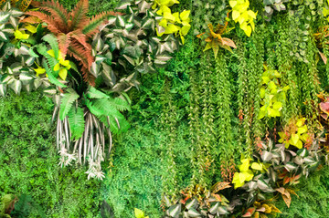 綠植墻