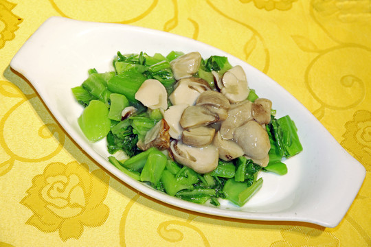 草菇蓋菜