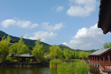 橫山寺放生池一景