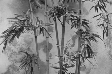 水墨意境竹子