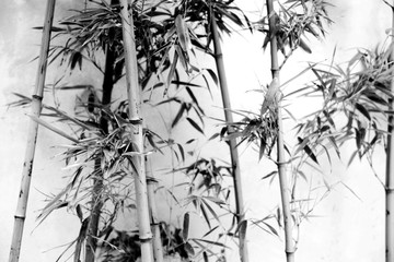水墨竹子