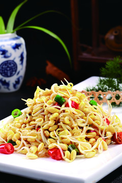 養(yǎng)生小豆芽