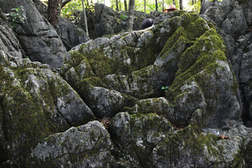 奧陶紀石林公園