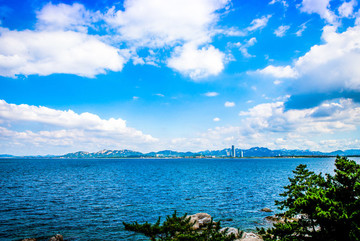 煙臺養(yǎng)馬島